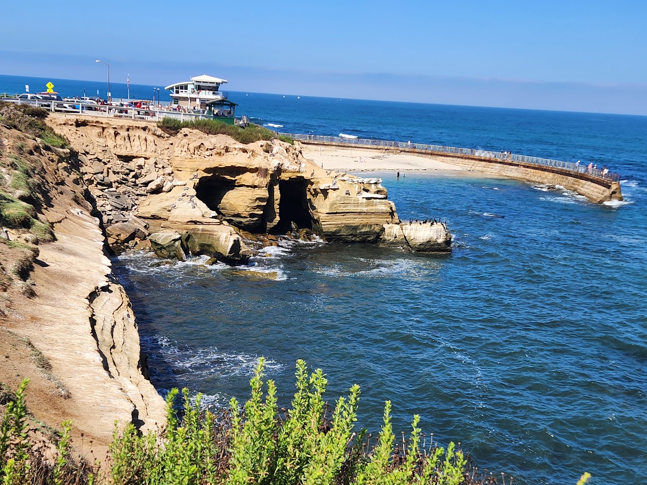 La Jolla cove