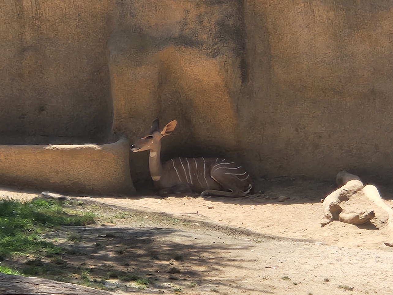 Resting